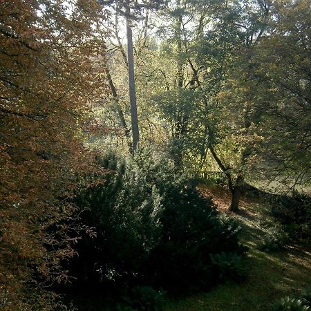 La Reverie Montbéliard Dış mekan fotoğraf